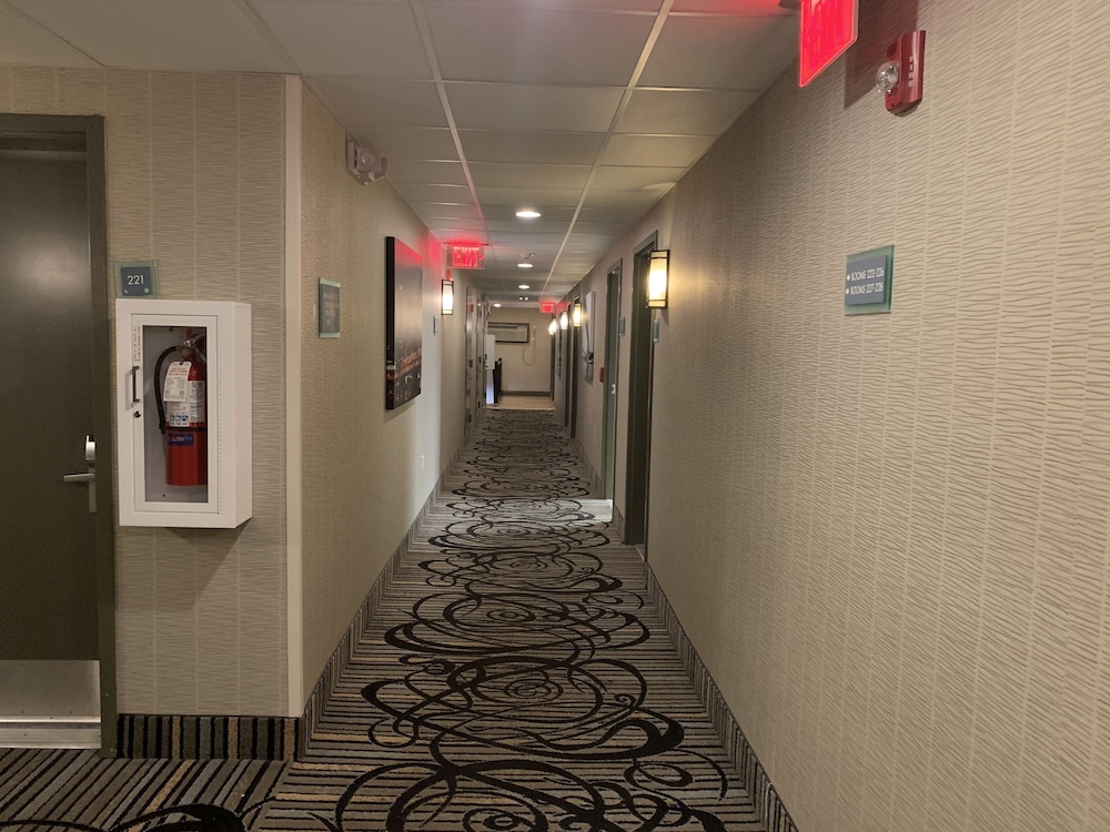 Red Carpet Inn Elmwood Park - photo 42