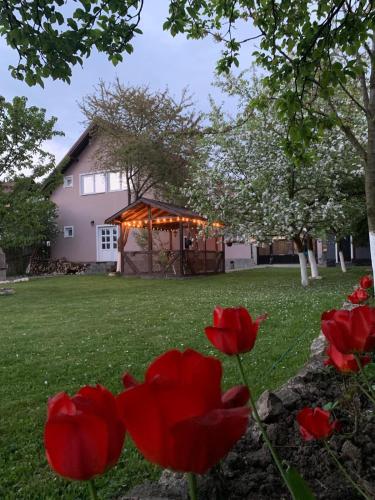 Holiday Home GC30 — 4-Star Luxury Hotel in Cristian, Romania