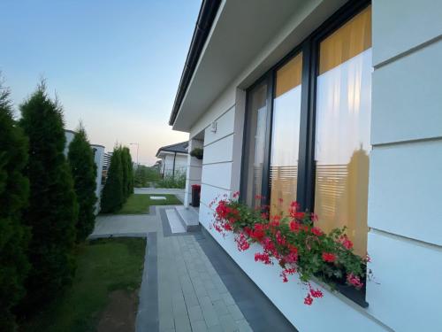 Class Luxury Residence — Satu Mare — photo 5