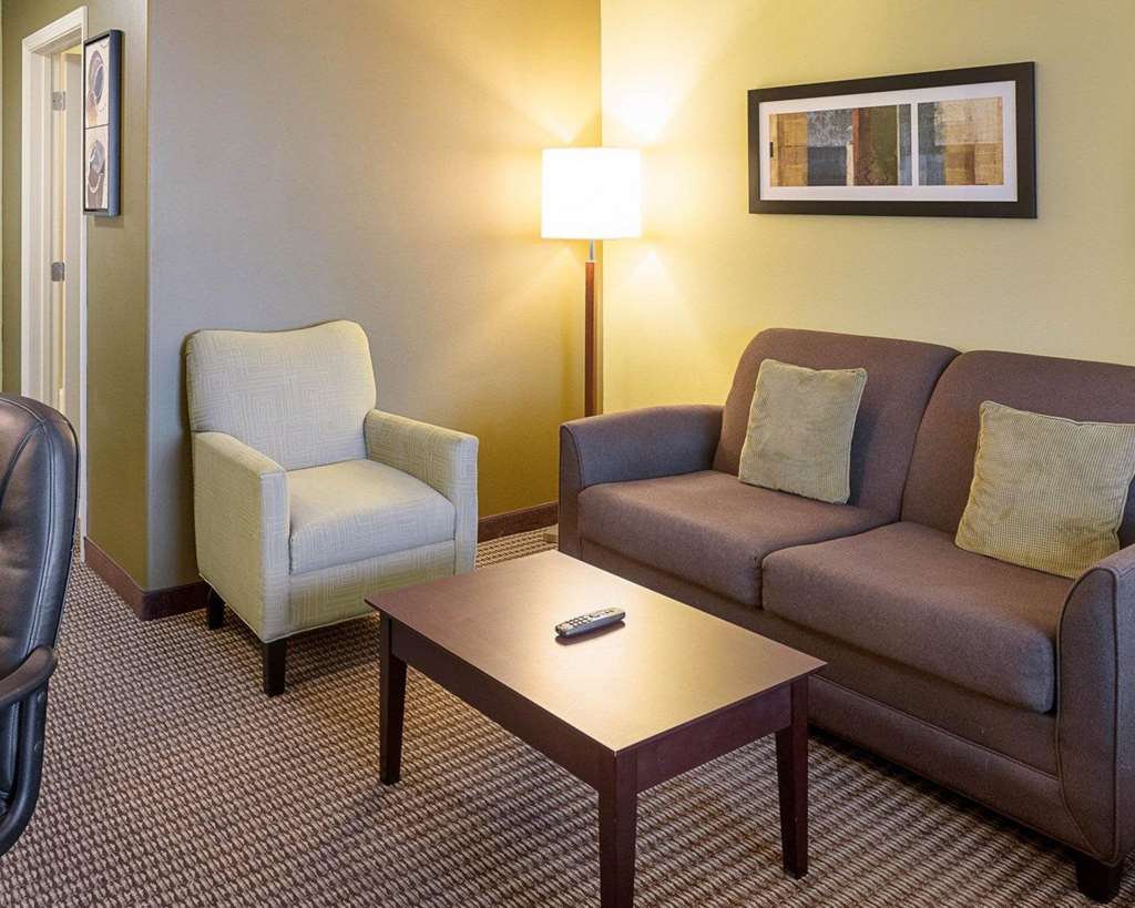 Comfort Suites Harvey New Orleans West - photo 16