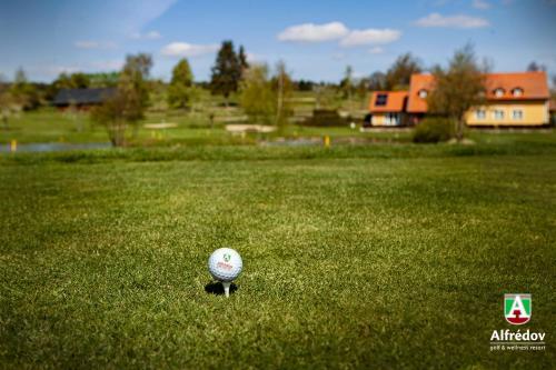 Golf&Wellness Resort Alfrédov — hotel in Stribro
