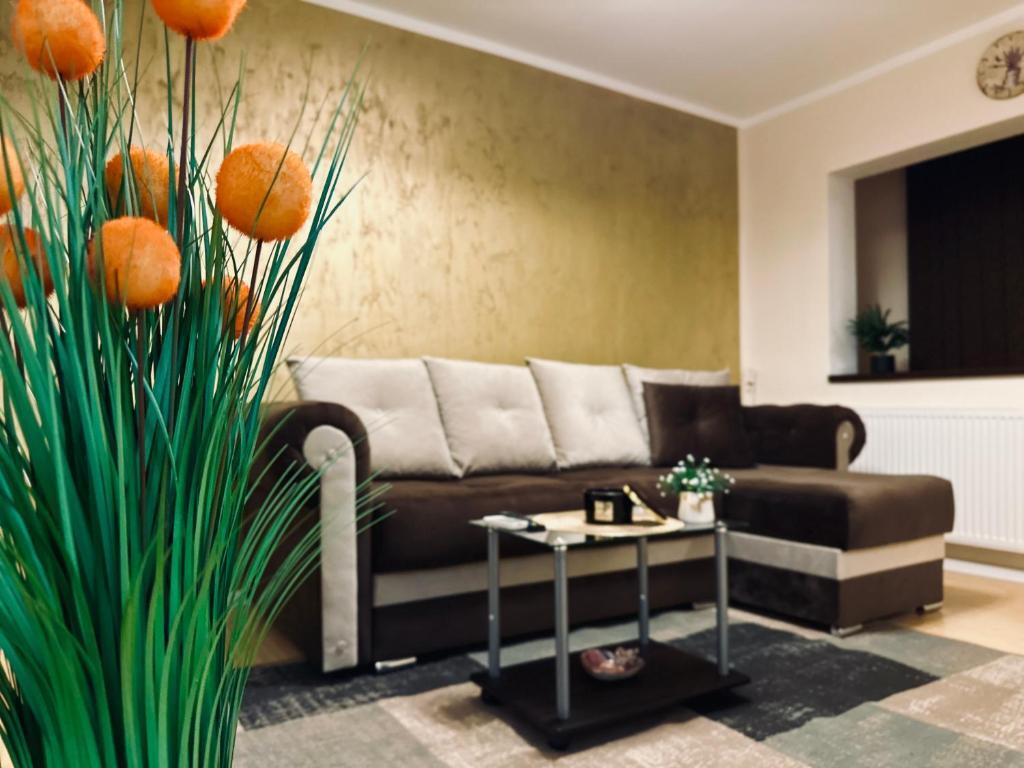 SHoliday Studio Apartament modern cu parcare gratuită în Timișoara — 4-Star Luxury Hotel in Timisoara, Romania