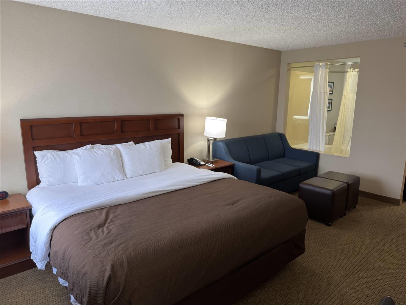 Wingate by Wyndham Utica - photo 24
