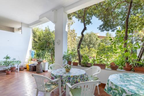 Sartiglia Domu in Oristano, Italy