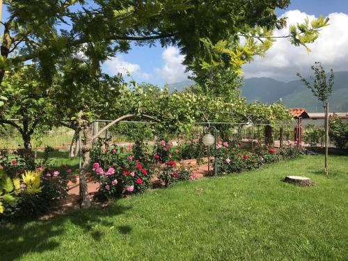 Alma Migrante bed&wine — hotel in Telese