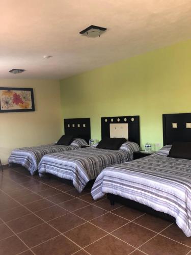 Posada Quinta Alejandra — Bernal — photo 5