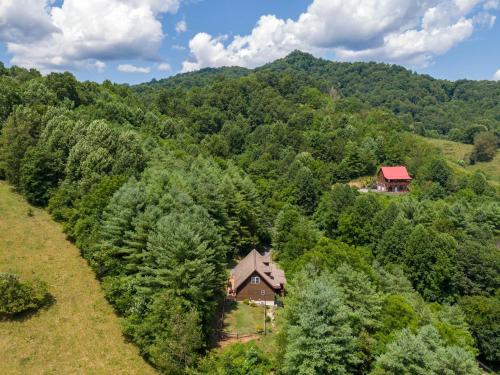 Lazy Bear Inn - photo 34