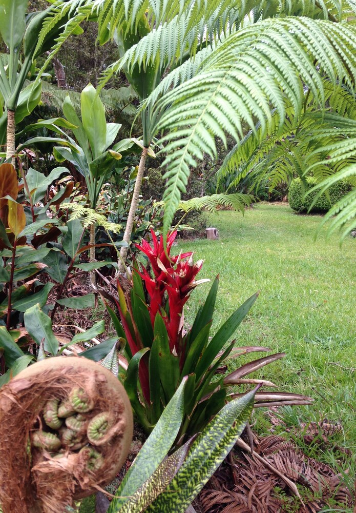 Aloha Happy Place - photo 23