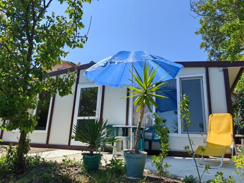 Lenny 3 in Unknown City, Bulgaria