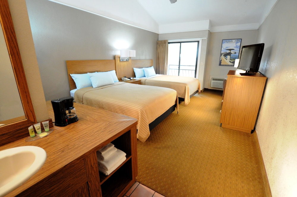 Sidney James Mountain Lodge - photo 4