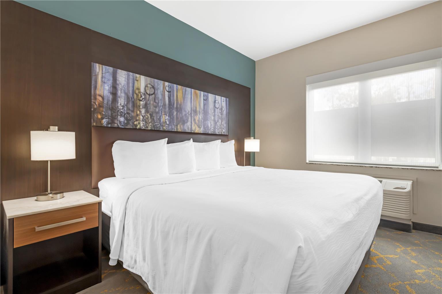 Best Western Plus Isanti - photo 35