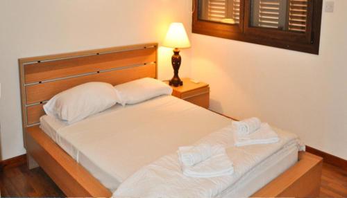 Oceanview Luxury Villa 167