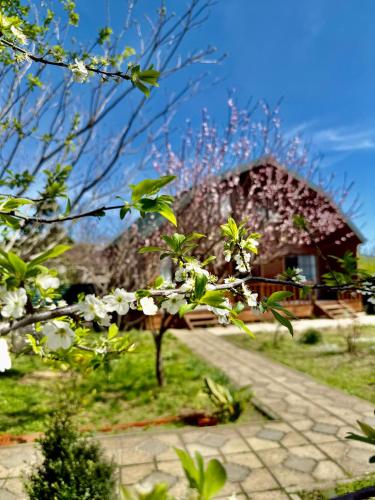 Sweet Village in Tsqaltubo, Georgia