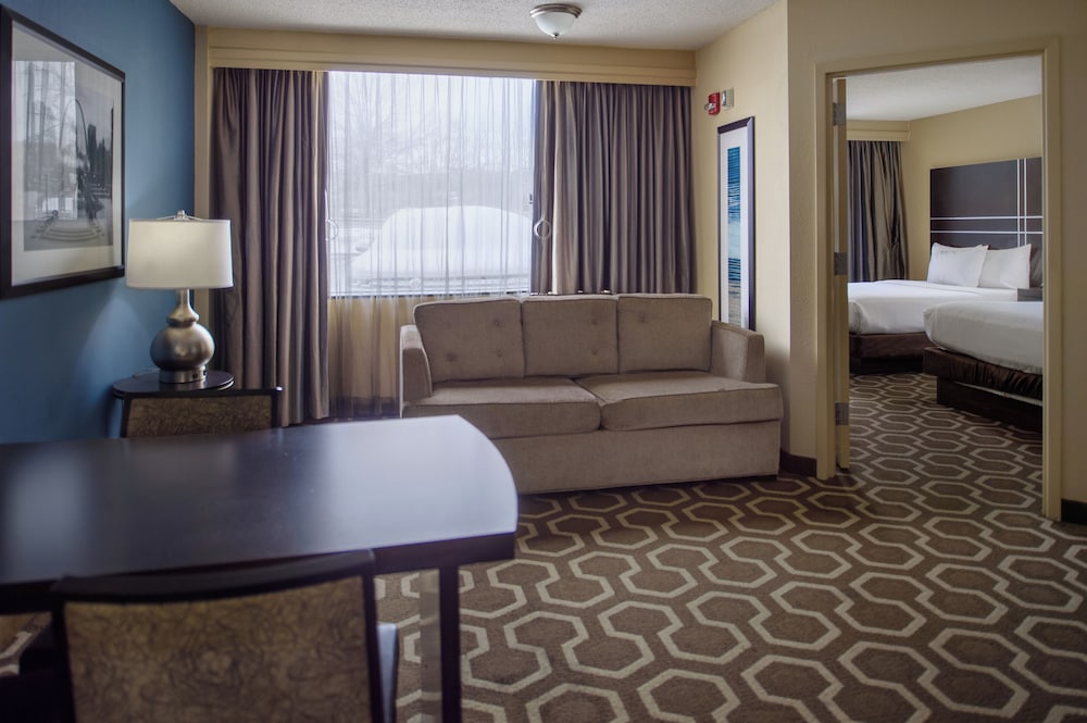 Embassy Suites by Hilton St. Louis Airport - photo 25