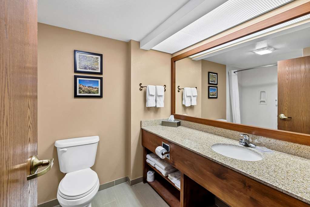 Comfort Inn Benson near Kartchner Caverns - photo 22
