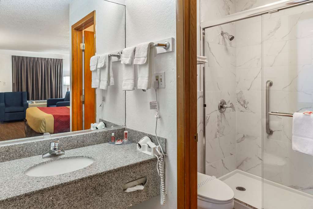 Econo Lodge Inn & Suites Albany North - photo 14