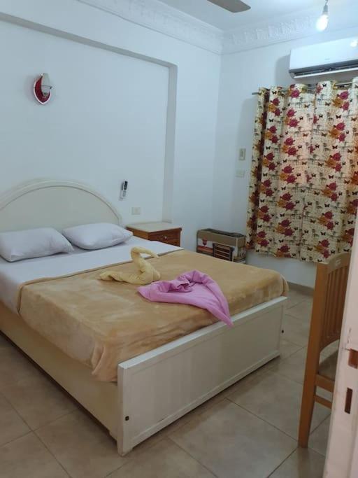 Sekhmet Appartement 3 chambres