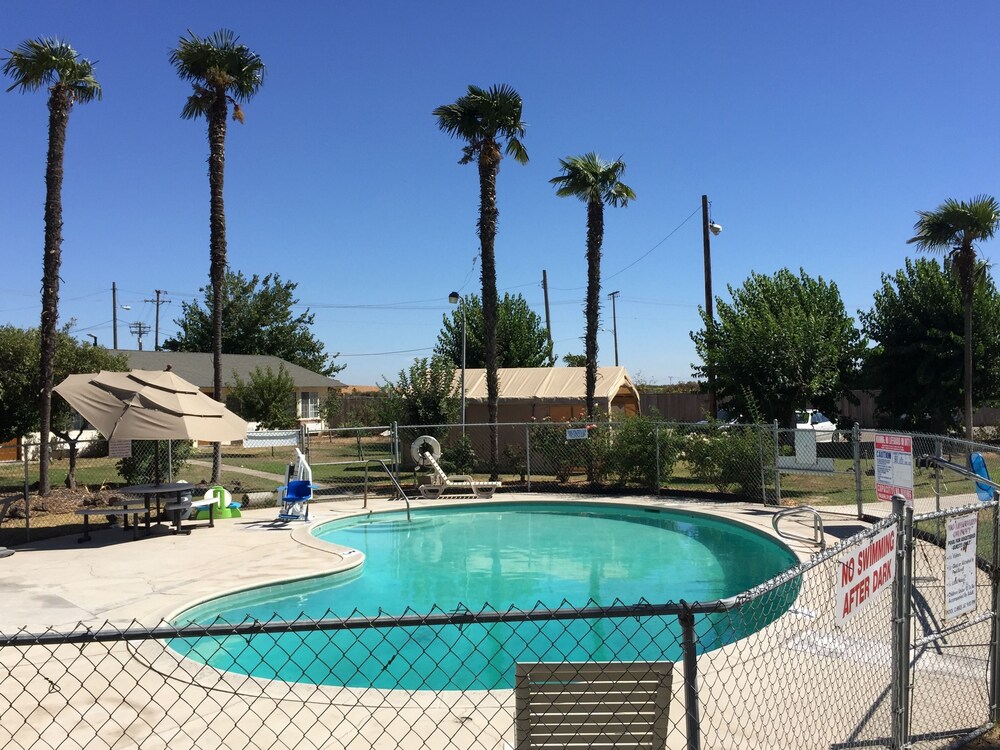99 Palms Inn & Suites - photo 25