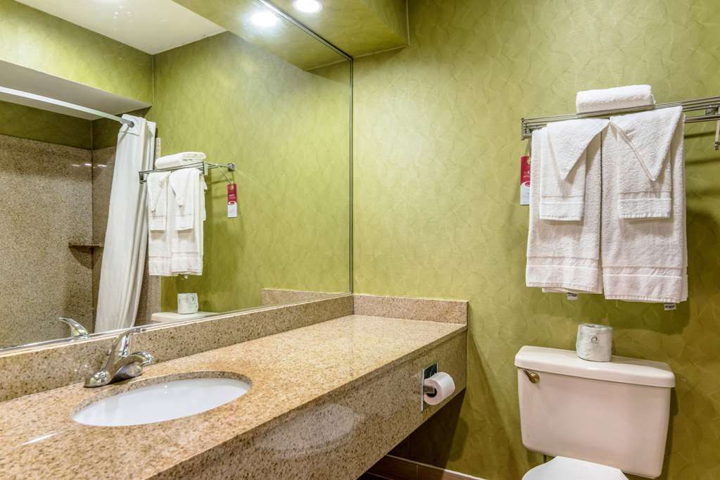 Econo Lodge Pocomoke City Hwy 13 - photo 20