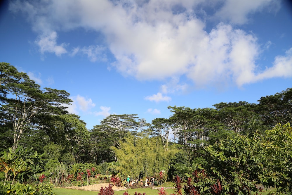 Hawaiian Sanctuary - photo 37