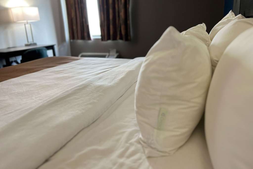 Quality Inn & Suites Louisville East - photo 22