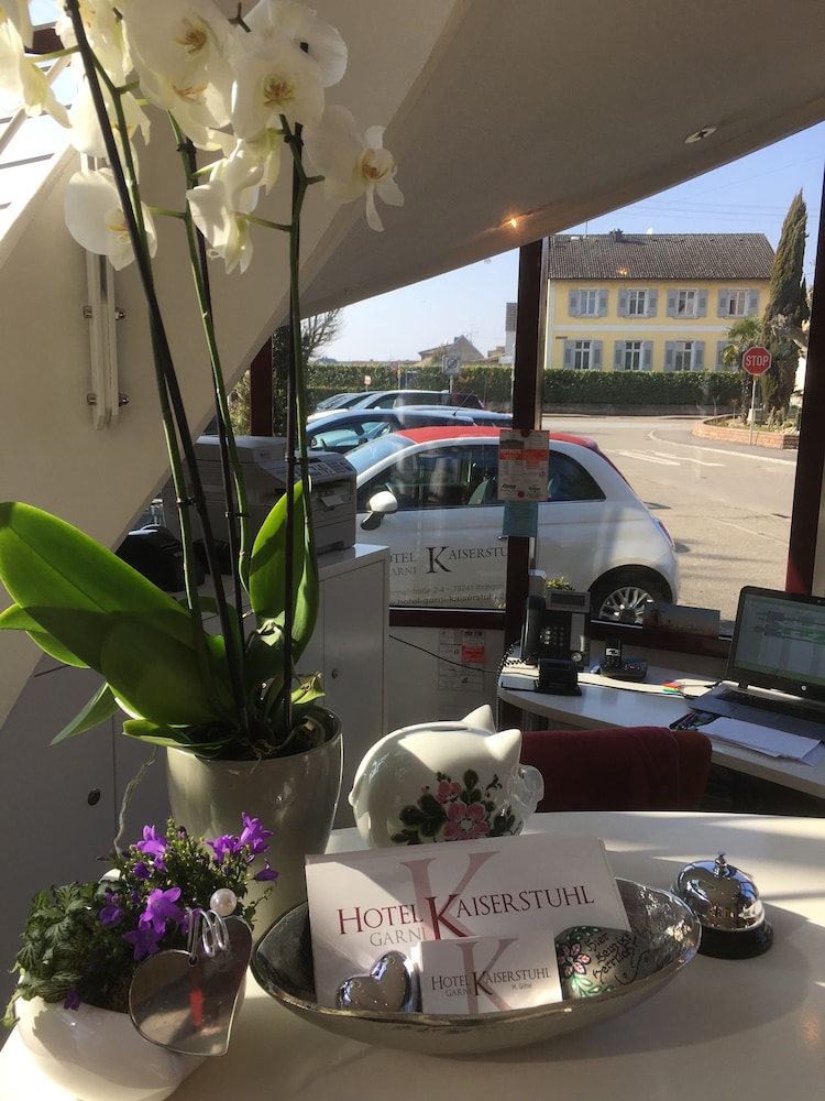 Hotel garni Kaiserstuhl — Ihringen — photo 3