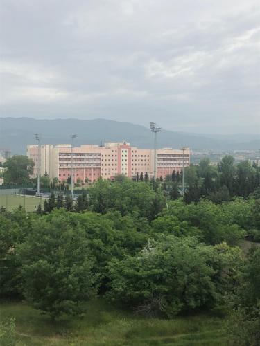 Tbilisi Loves You