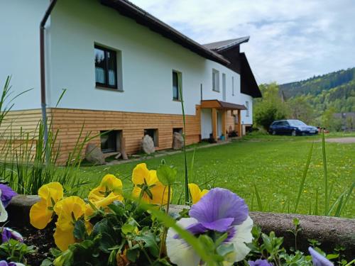 Smrek Sokolec Agroturystyka — hotel in Ludwikowice Klodzkie
