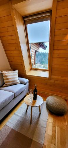 Apartment 533 in Aparthotel Vucko Jahorina Private host in Unknown City, Bosnia and Herzegovina