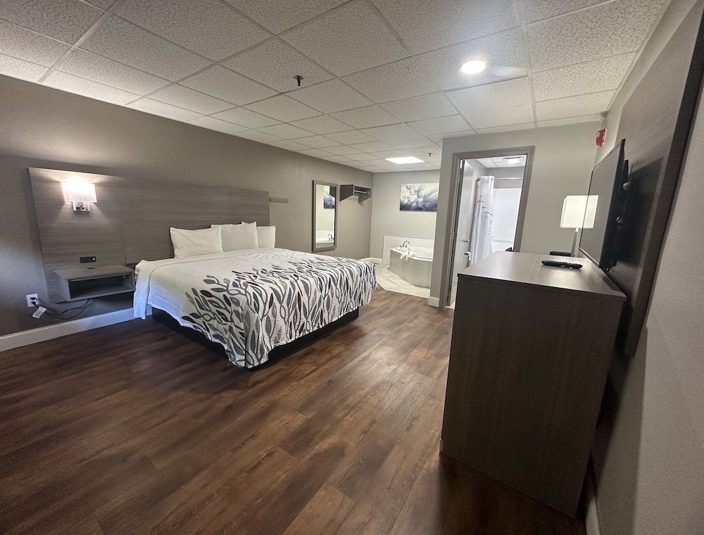 Red Roof Inn & Suites Swansea - photo 12