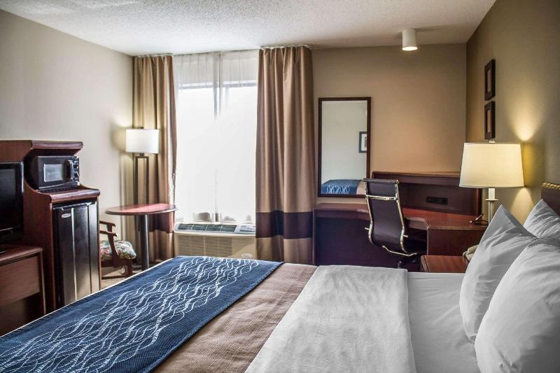 Comfort Inn - photo 23