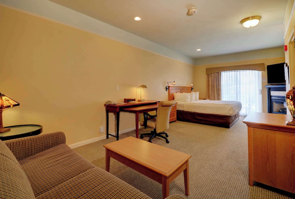 Senator Inn & Spa - photo 33