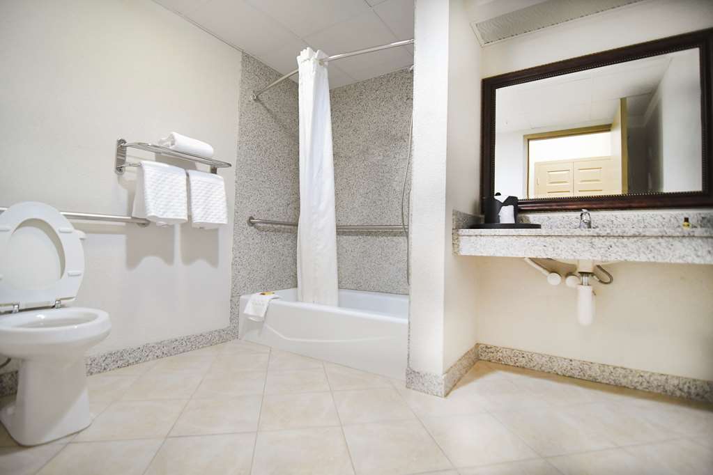 Best Western Plus Sandusky Hotel & Suites - photo 40