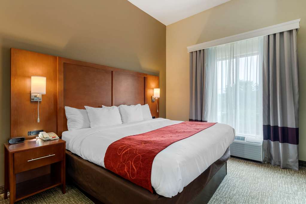 Comfort Suites Kingsport South - photo 10