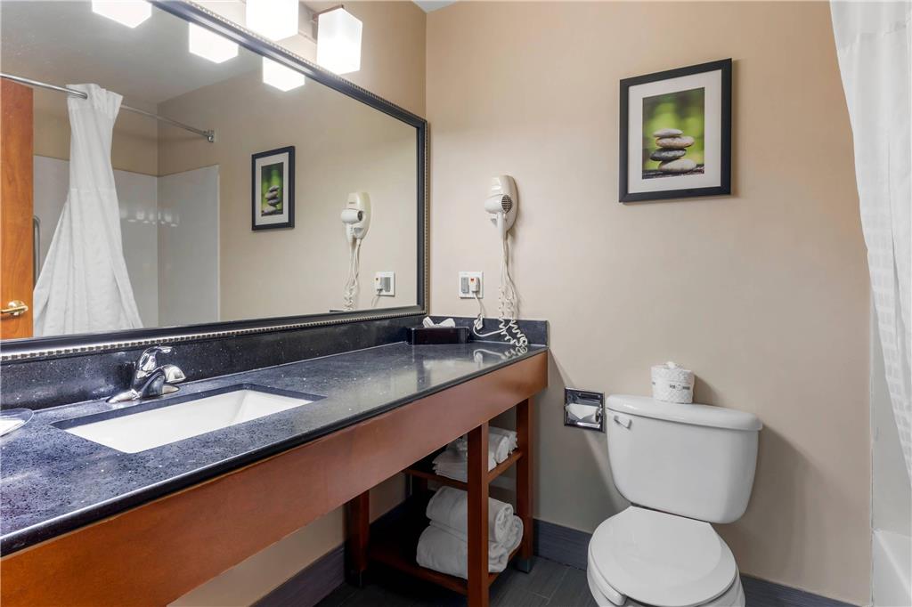 Comfort Suites North Dallas - photo 21