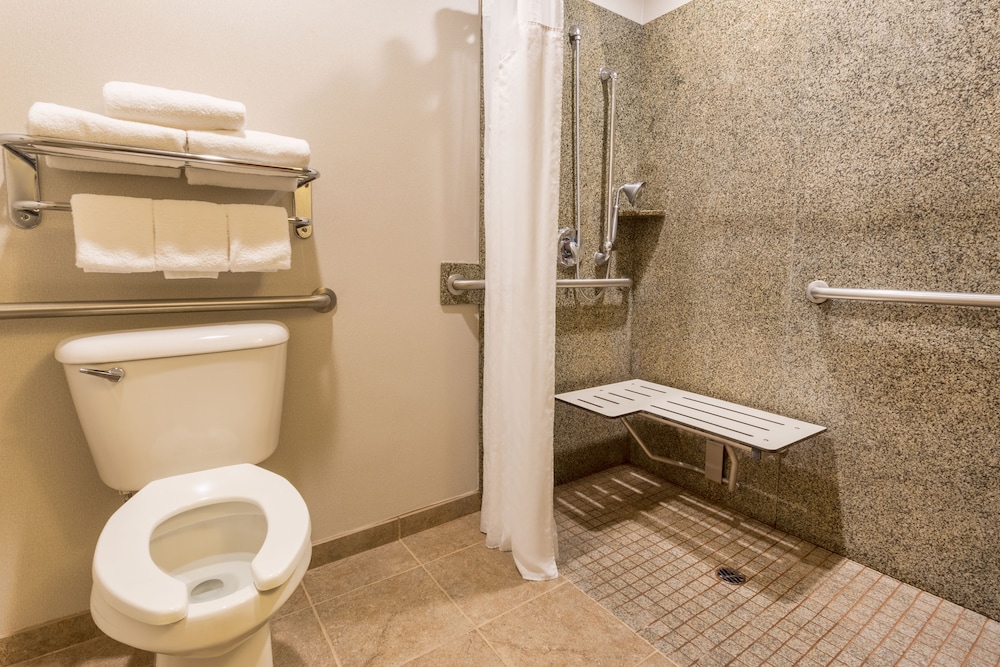 Holiday Inn Express Hotel & Suites Manteca by IHG - photo 27