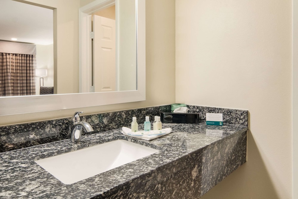 Quality Inn & Suites Dallas Cityplace - photo 9