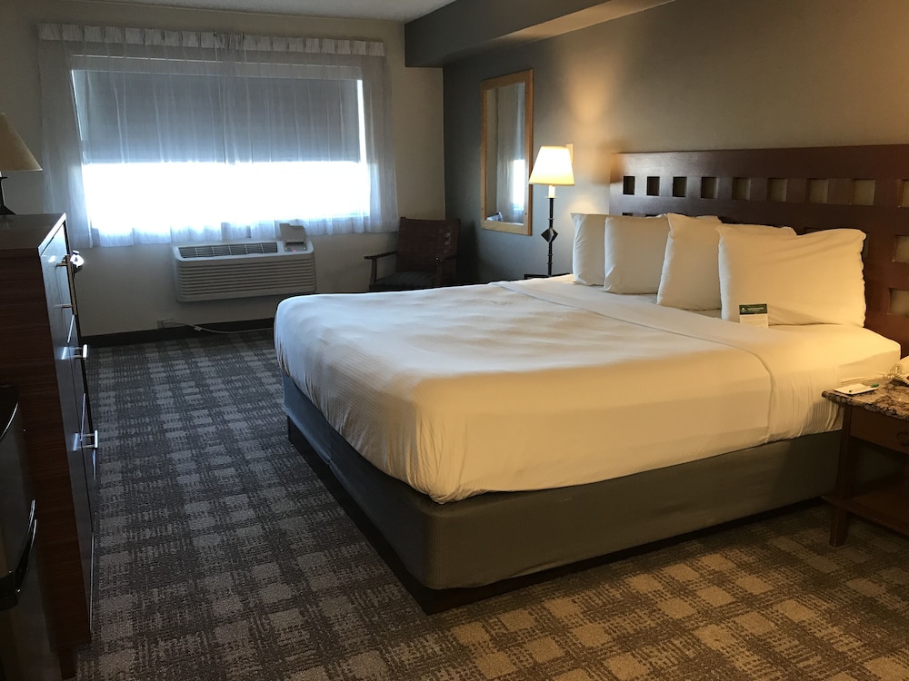 Best Western North I 25 Hotel - photo 11