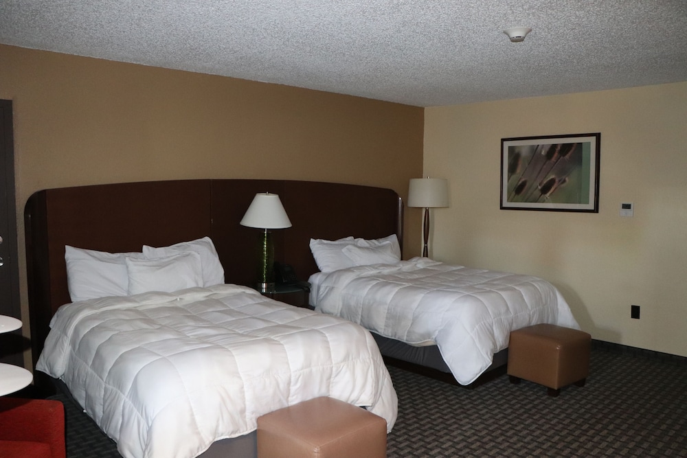 Historic Cow Palace Inn - photo 7