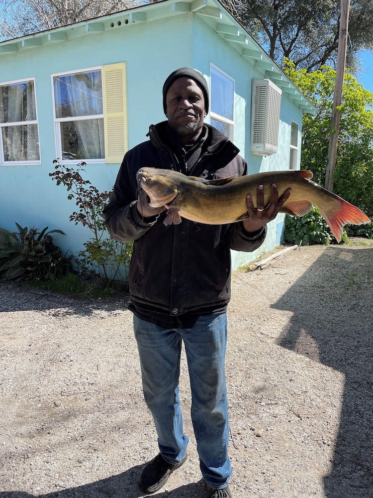 Blue Fish Cove Resort - photo 68