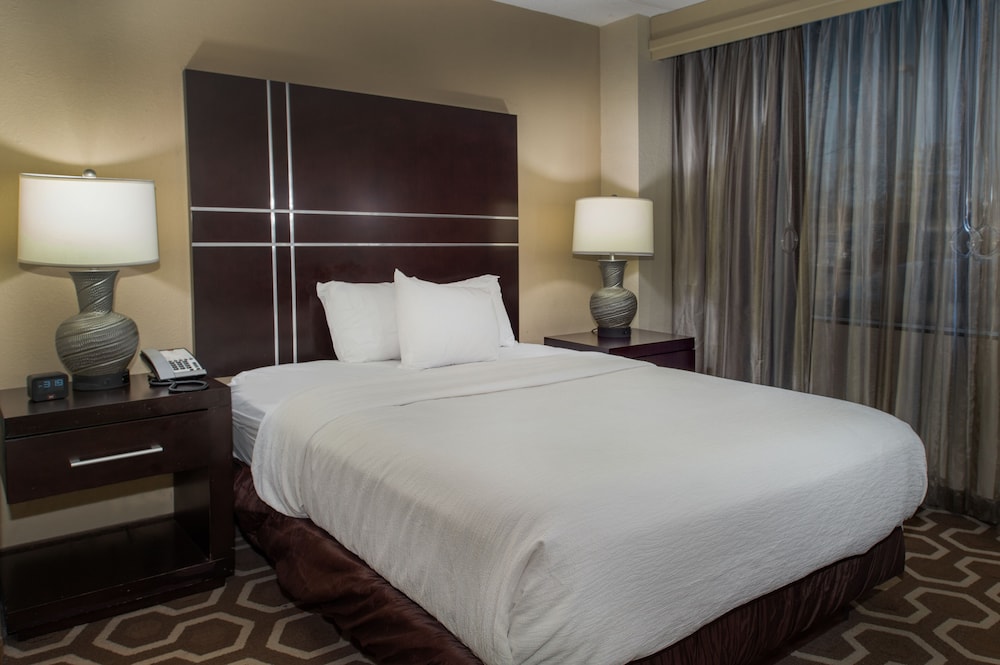 Embassy Suites by Hilton St. Louis Airport - photo 9
