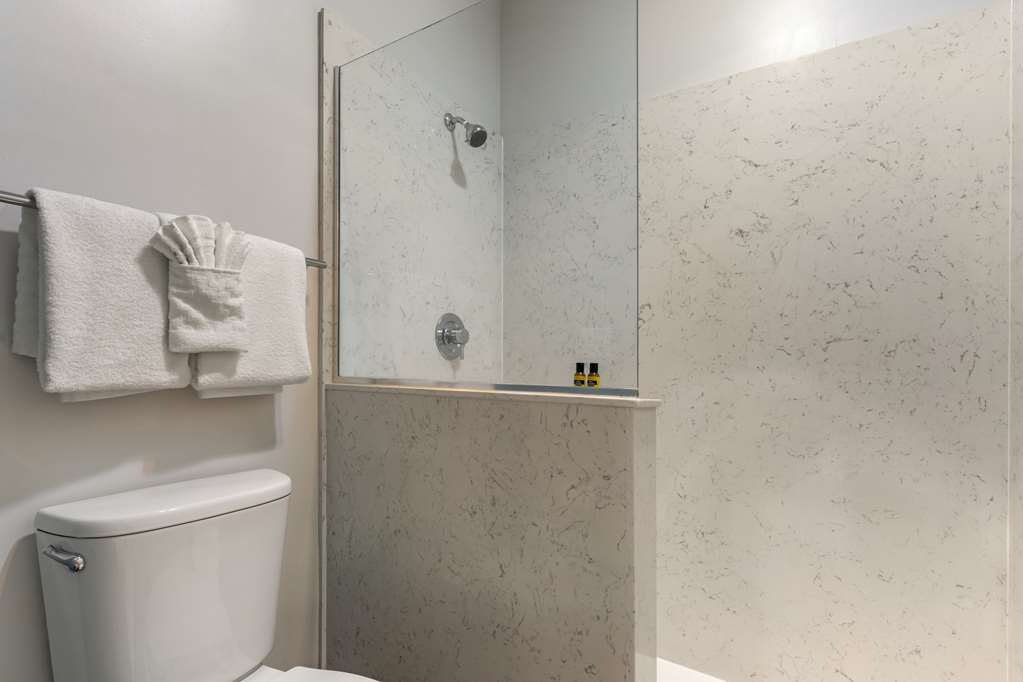 Best Western Plus All Suites Inn - photo 43