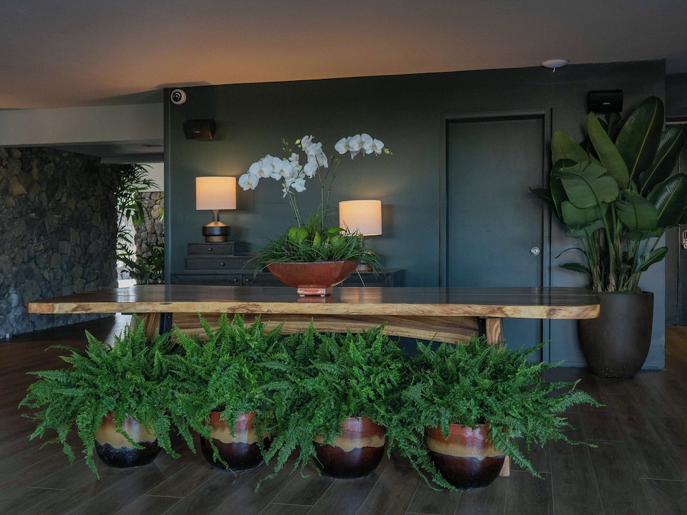 Pacific 19 Kona - photo 2