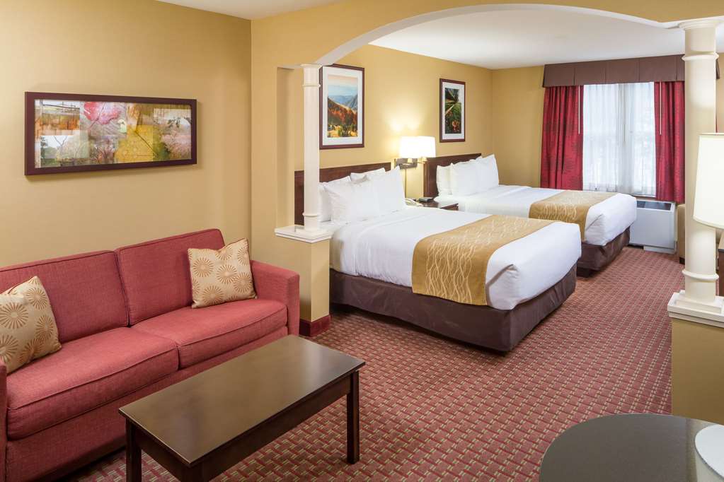 Comfort Inn & Suites Near Burke Mountain - photo 10