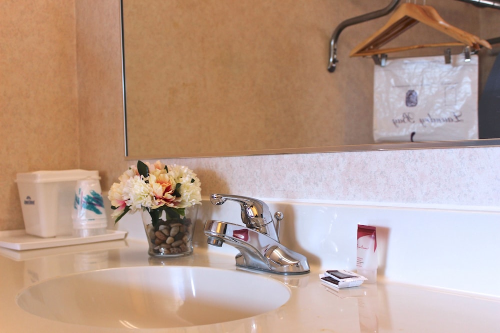 Regency Inn Richmond - photo 33