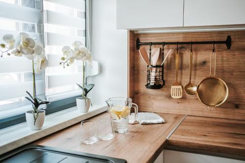 Apartman Babić — Varazdin — photo 2