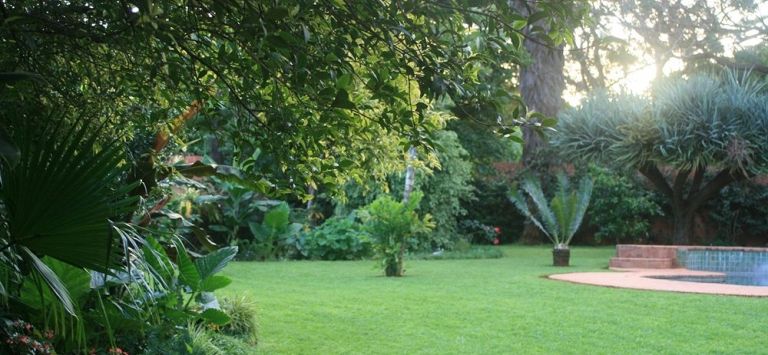 Glen Lorne Lodge — Harare — photo 2