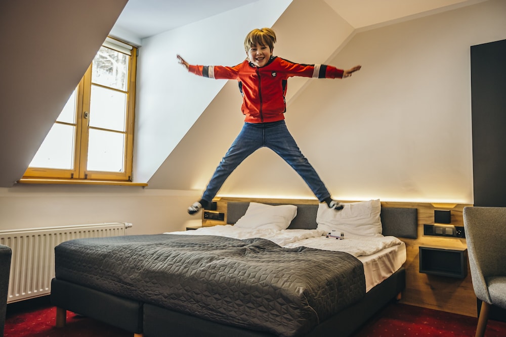 Pensjonat Puchaczówka in Stronie Slaskie, Poland