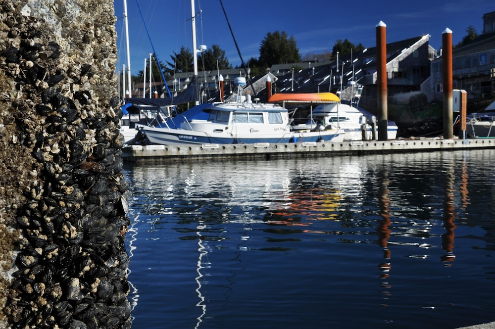 Embarcadero Resort Hotel & Marina - photo 87