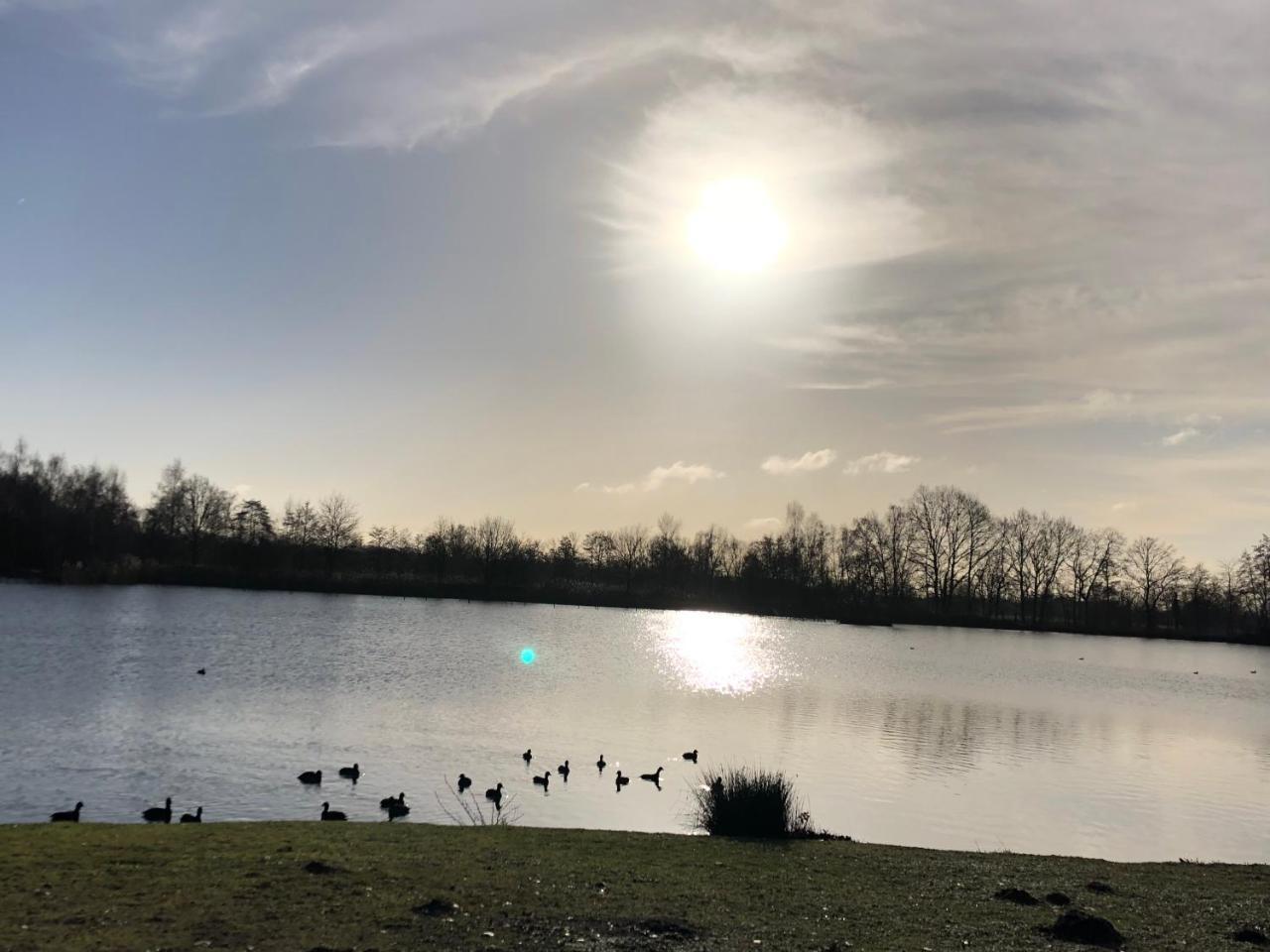 Vakantiewoning T Reigersnest — hotel in Zonhoven